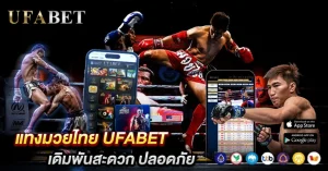 แทงมวยไทย UFABET